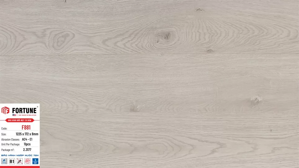 Sàn gỗ Fortune 8mm – F881