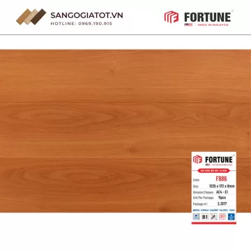 Sàn gỗ Fortune 8mm – F886