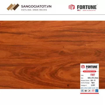Sàn gỗ Fortune 8mm – F887