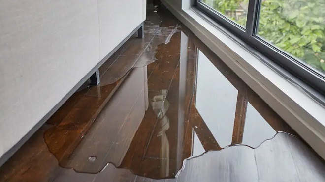 Sàn gỗ bị hư hỏng do nước hoặc ngập lụt