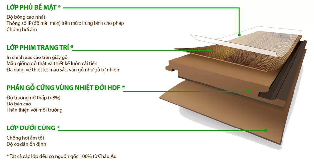 Cấu tạo của sàn gỗ Wilson