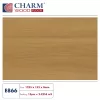 Sàn gỗ Charmwood 8mm E866
